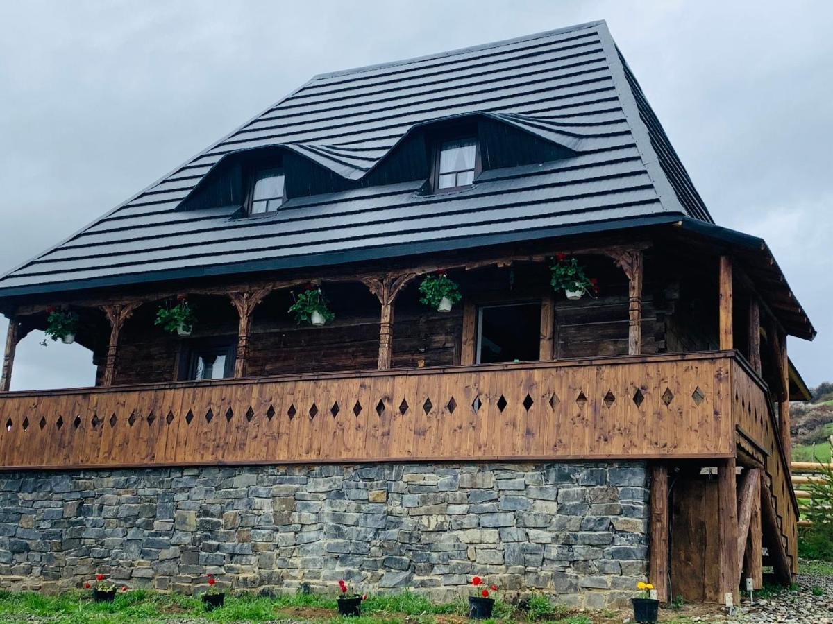 Conacul Maramuresean Bilgar Bogdan Voda Exterior photo